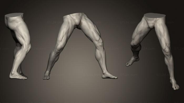 Anatomy of skeletons and skulls (Male Legs 2, ANTM_0162) 3D models for cnc
